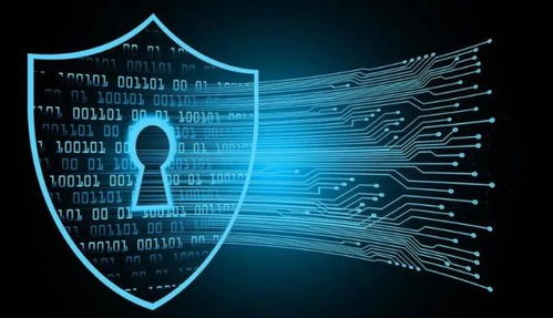 信息系統(tǒng)集成服務(wù)中的個人信息自決權(quán) 民法典第111條的視角